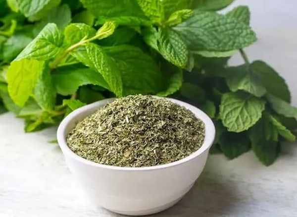 تصویر 4 از قیمت و خرید سبزی نعنا خشک + فروش ارزان